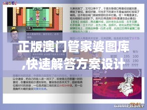 正版澳门管家婆图库,快速解答方案设计_闪电版AHQ5.51