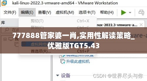 777888管家婆一肖,实用性解读策略_优雅版TGT5.43