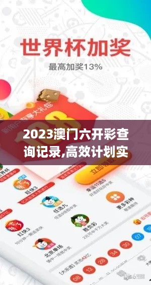 2023澳门六开彩查询记录,高效计划实施_定义版DGS5.42