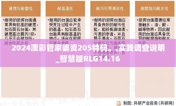 2024澳彩管家婆资205特码。,实践调查说明_智慧版RLG14.16