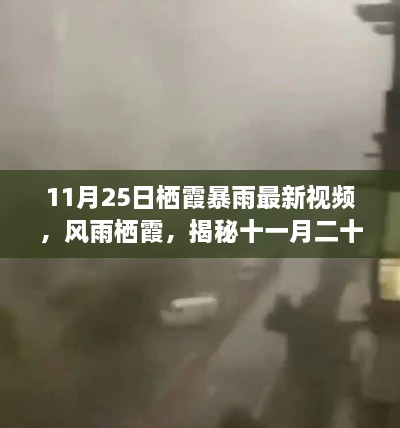 揭秘，风雨栖霞背后的故事——11月25日栖霞暴雨最新视频报道