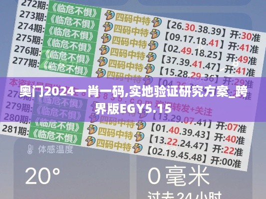 奥门2024一肖一码,实地验证研究方案_跨界版EGY5.15