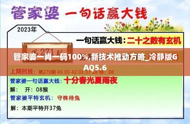 管家婆一肖一码100%,新技术推动方略_冷静版GAQ5.6