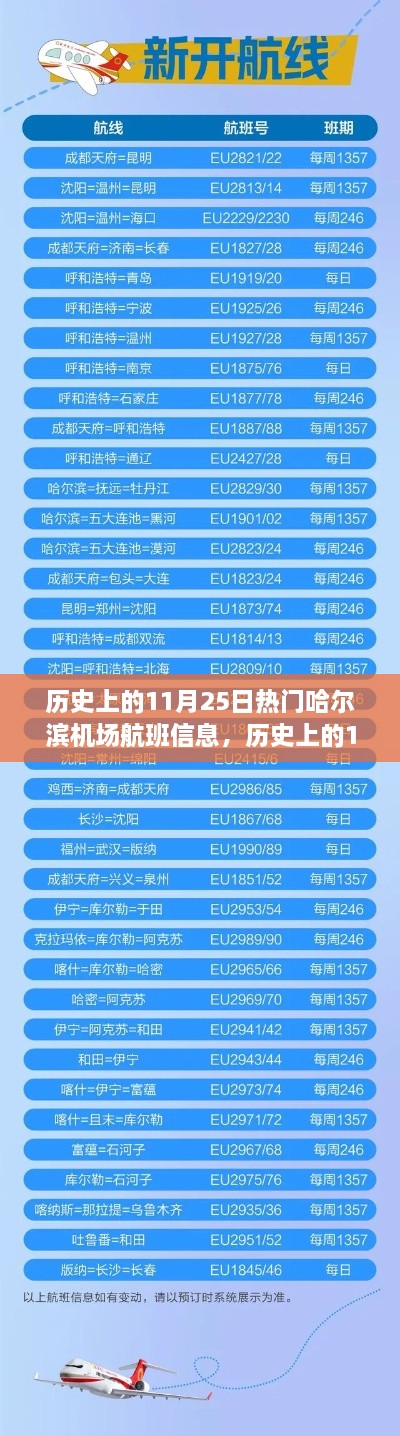 历史上的11月25日哈尔滨机场热门航班信息全览