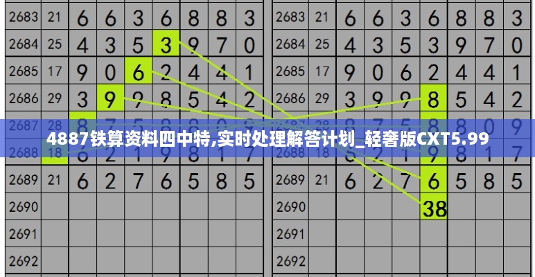 4887铁算资料四中特,实时处理解答计划_轻奢版CXT5.99