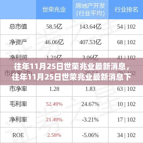 往年11月25日世荣兆业最新消息及其多维度视角分析概述