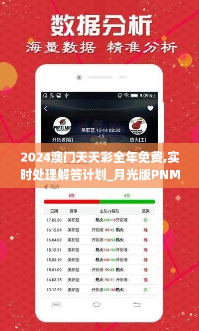 2024澳门天天彩全年免费,实时处理解答计划_月光版PNM14.64