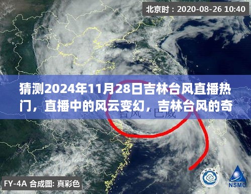 吉林台风风云变幻直播日，深厚友情共鉴奇妙一天，预测2024年11月28日直播热点