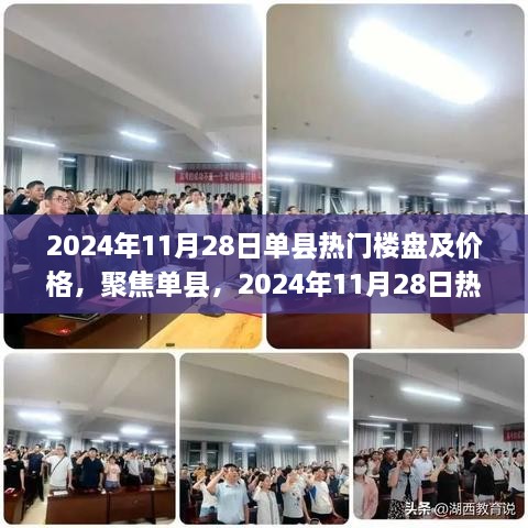 2024年11月28日单县热门楼盘深度解析与实时价格透视