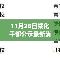 绥化干部公示最新消息背后的温暖故事揭晓