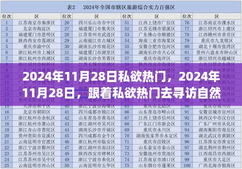 私欲热门引领自然之旅，探寻内心平和宁静的旅程（日期，2024年11月28日）