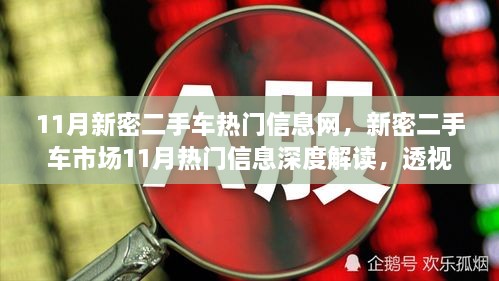 新密二手车市场11月热门信息解读与观点分析，市场深度透视与个人观点分享