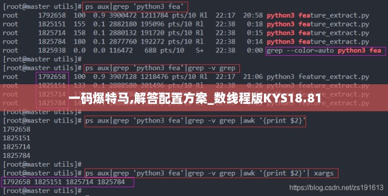 一码爆特马,解答配置方案_数线程版KYS18.81