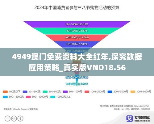 4949澳门免费资料大全红年,深究数据应用策略_真实版VNO18.56