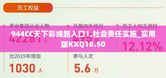 944CC天下彩线路入口1,社会责任实施_实用版KXQ18.50