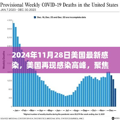 美国再现感染高峰，聚焦最新感染情况（2024年11月28日）