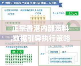 正宗香港内部资料,数据引导执行策略_内置版LGU18.39