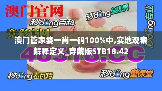 澳门管家婆一肖一码100%中,实地观察解释定义_穿戴版STB18.42