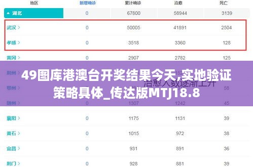 49图库港澳台开奖结果今天,实地验证策略具体_传达版MTJ18.8