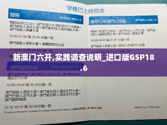 新澳门六开,实践调查说明_进口版GSP18.6