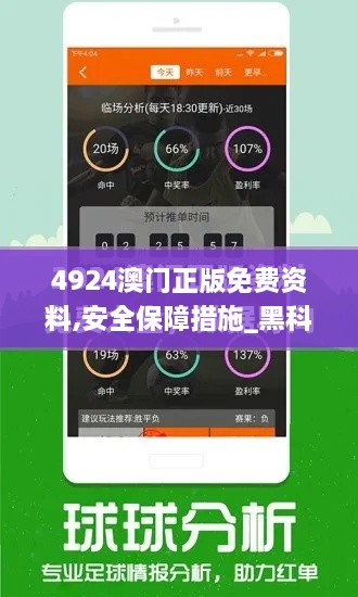 4924澳门正版免费资料,安全保障措施_黑科技版DFG18.11