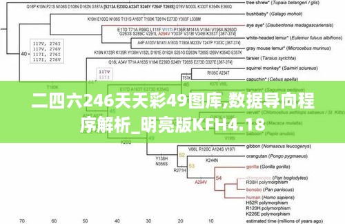 二四六246天天彩49图库,数据导向程序解析_明亮版KFH4.18