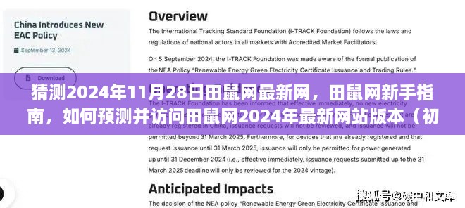 2024年11月29日 第45页