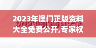 2023年澳门正版资料大全免费公开,专家权威解答_环保版OQE18.81