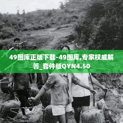 49图库正版下载-49图库,专家权威解答_套件版QYN4.50