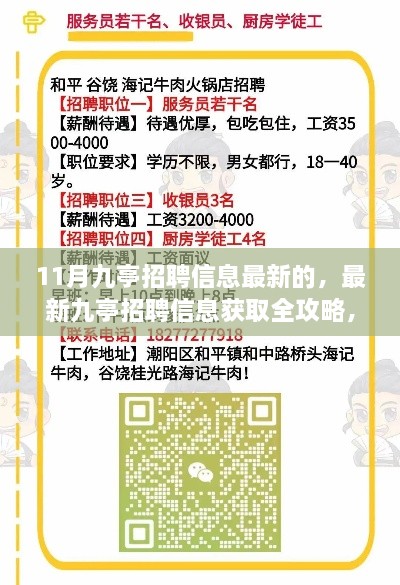 11月九亭招聘信息最新的，最新九亭招聘信息获取全攻略，11月求职必备步骤指南