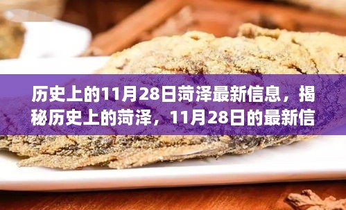 揭秘历史上的菏泽，探寻11月28日的最新信息探索之旅