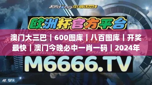 澳门大三巴｜600图库｜八百图库｜开奖最快｜澳门今晚必中一肖一码｜2024年澳门正版,高效运行支持_旅行助手版ROI4.84