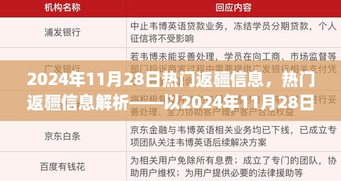 2024年11月28日返疆信息解析，热门返疆资讯一览