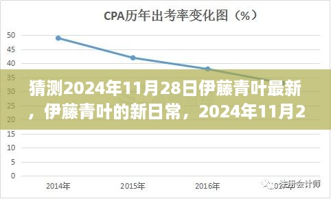 伊藤青叶的新日常，温馨奇遇的揭晓时刻，2024年11月28日最新动态揭秘