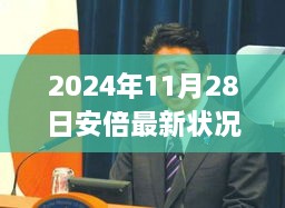 2024年11月28日安倍晋三最新状况更新