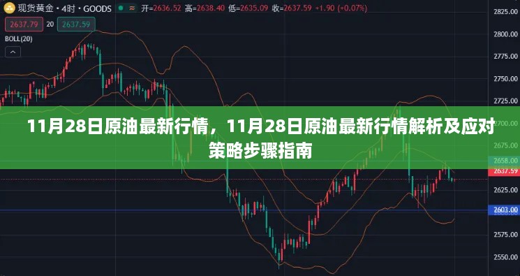 11月28日原油行情解析，最新动态、应对策略与步骤指南