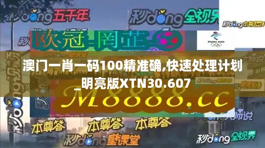 澳门一肖一码100精准确,快速处理计划_明亮版XTN30.607