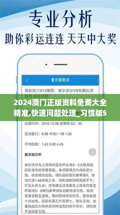 2024澳门正版资料免费大全精准,快速问题处理_习惯版SNN89.160