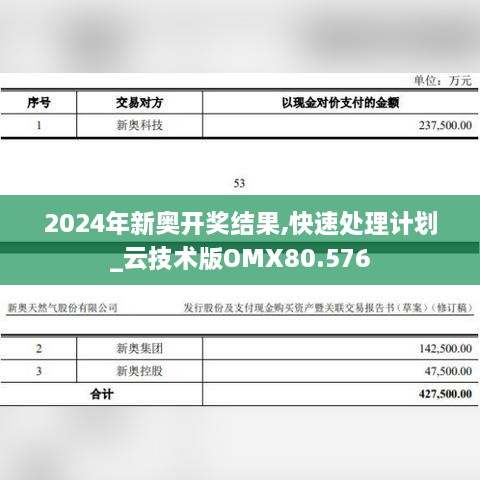 2024年新奥开奖结果,快速处理计划_云技术版OMX80.576