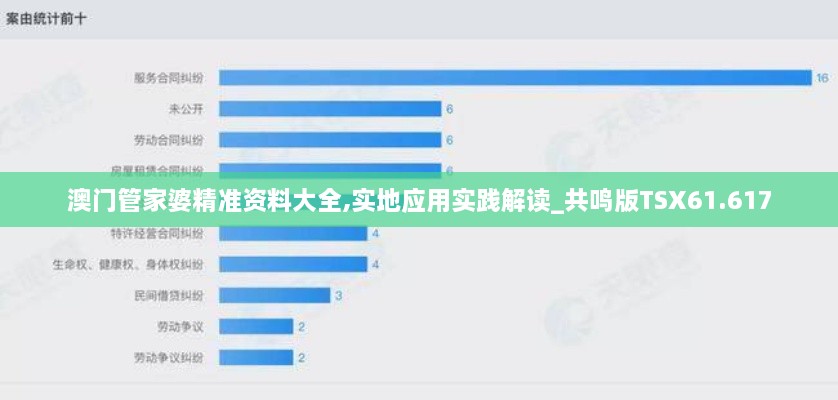 澳门管家婆精准资料大全,实地应用实践解读_共鸣版TSX61.617