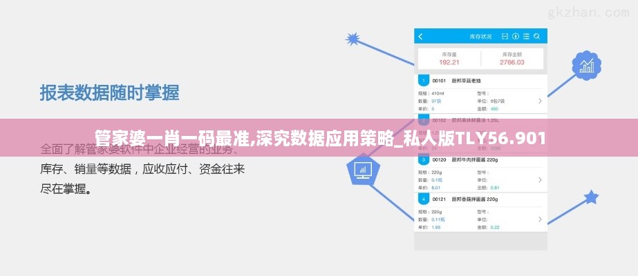 管家婆一肖一码最准,深究数据应用策略_私人版TLY56.901