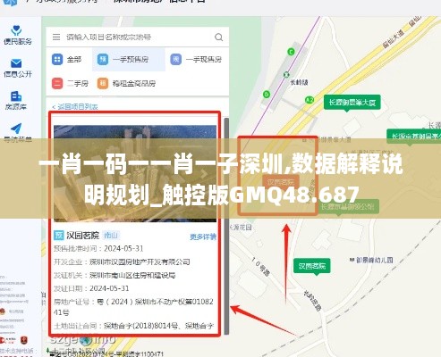 一肖一码一一肖一子深圳,数据解释说明规划_触控版GMQ48.687