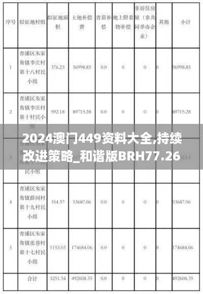 2024澳门449资料大全,持续改进策略_和谐版BRH77.263