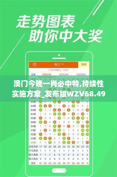 澳门今晚一肖必中特,持续性实施方案_发布版WZV68.490