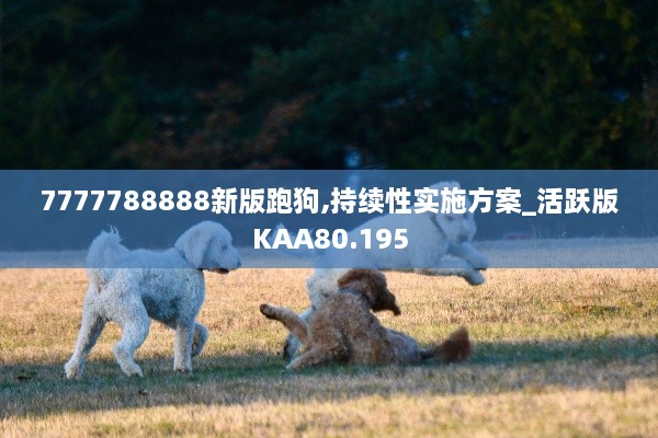 7777788888新版跑狗,持续性实施方案_活跃版KAA80.195