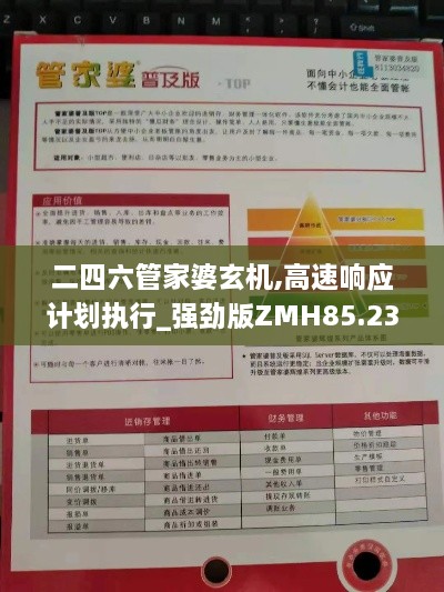 二四六管家婆玄机,高速响应计划执行_强劲版ZMH85.230