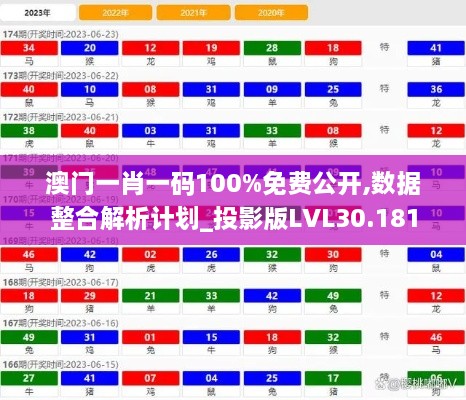 澳门一肖一码100%免费公开,数据整合解析计划_投影版LVL30.181