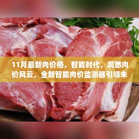 智能时代肉价风云揭秘，全新智能肉价监测器引领未来生活新潮流