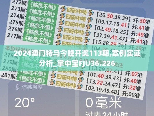 2024澳门特马今晚开奖113期,案例实证分析_掌中宝FJU36.226