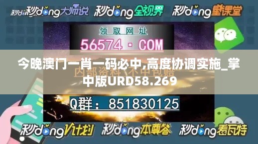 今晚澳门一肖一码必中,高度协调实施_掌中版URD58.269